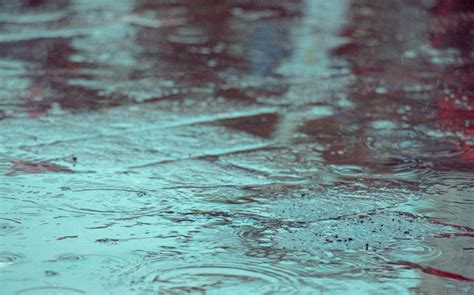 下雨天照片|雨天图片